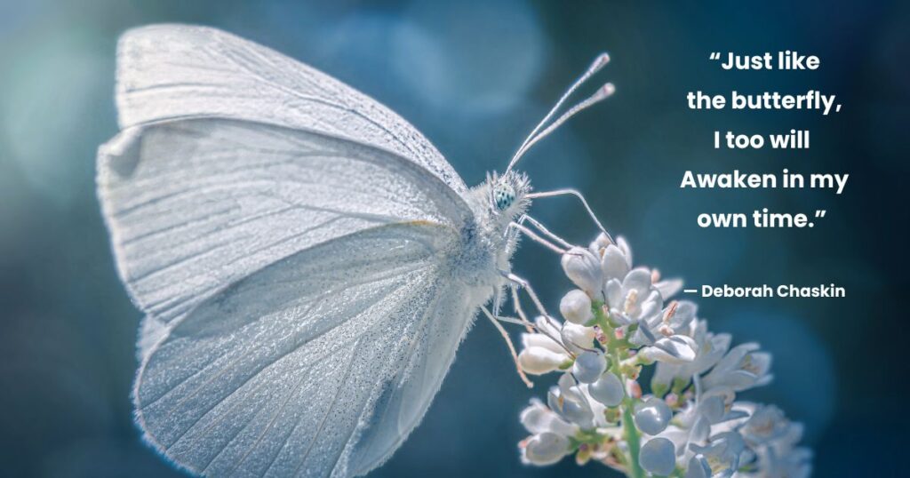 Cute Butterfly Quotes