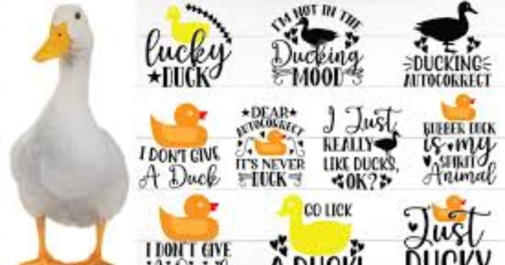 Funny Duck Quotes