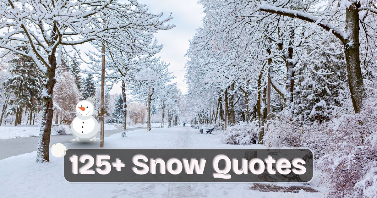 Snow Quotes