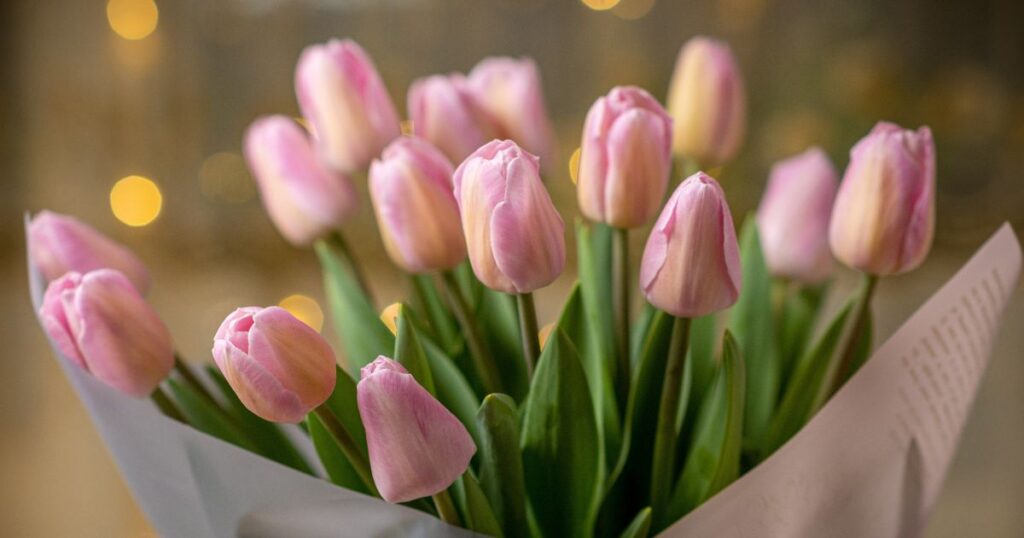 Tulip Flower Quotes