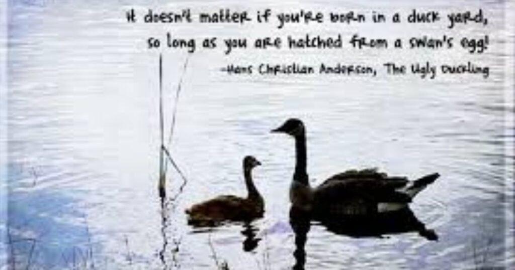 Ugly Ducking Quotes