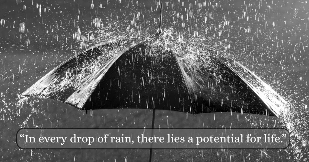 Quotes On Rain
