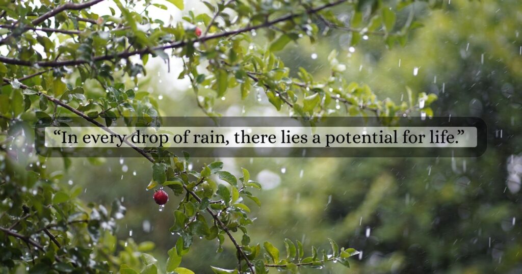 happy rain quotes