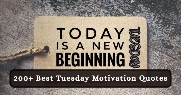 tuesday motivation quotes