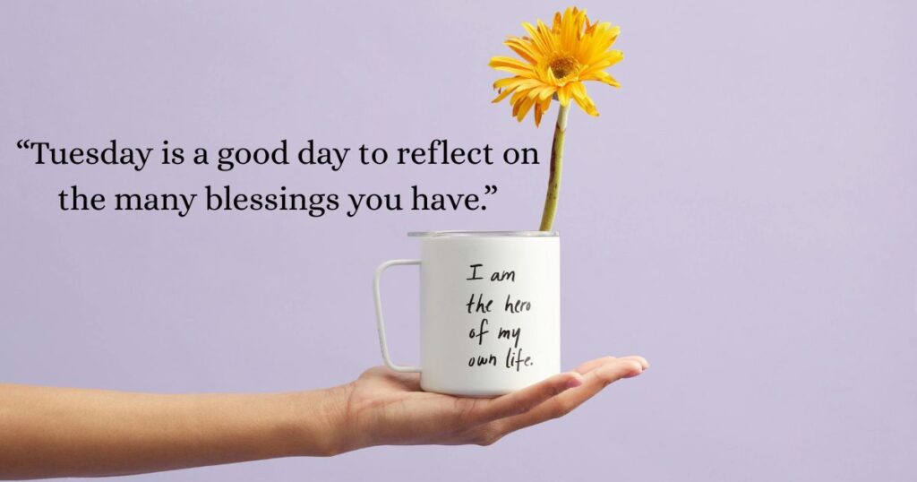 tuesday quotes