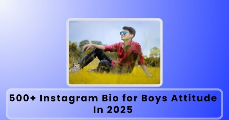 Instagram Bio for Boys Attitude