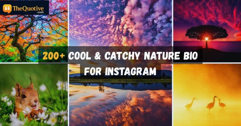 Nature Bio for Instagram