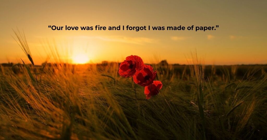 Romantic Dark Quotes