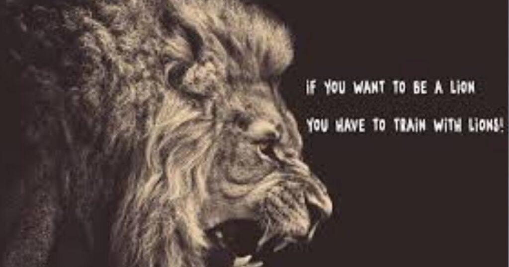 Lion Quotes for Instagram Captions